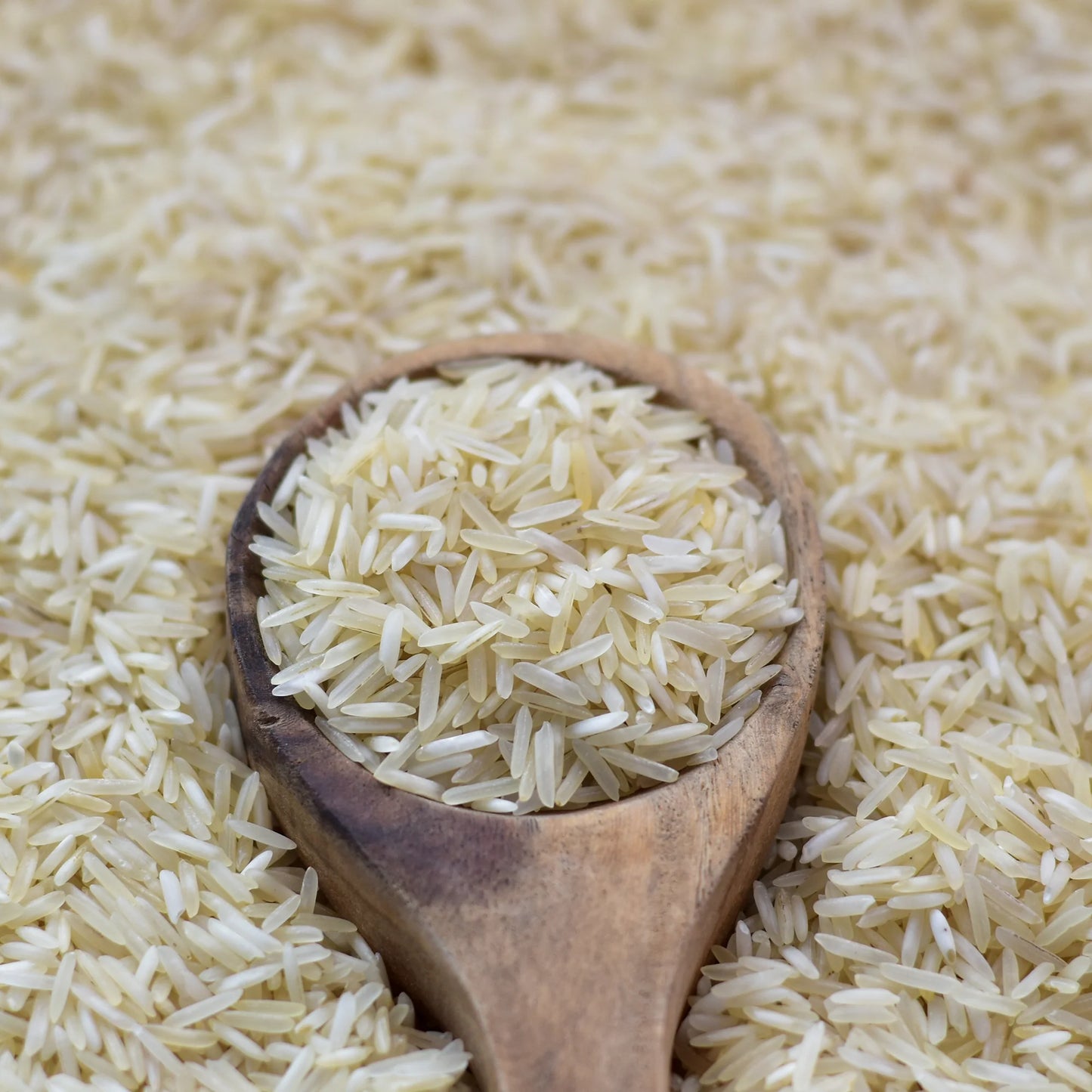 chawal