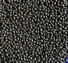 URID BLACK WHOLE 4KG